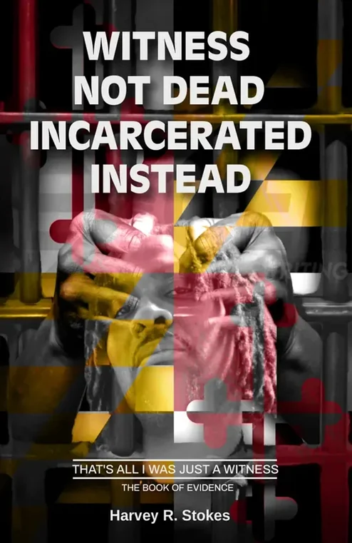 Published book cover